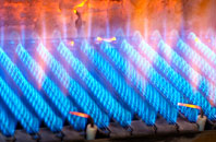Nantmel gas fired boilers